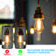 Ampoules DEL ST19 style Edison vintage 7 W (équivalent 75 W), à filament DEL dimmable, blanc chaud 2700 K, certifiées UL, culot E26/E27.