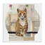 «Orange Cat Collage» par Nancy Overton-878921159