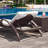 Loegan Outdoor Chaise Lounge