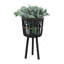 S / 3 POT DE BAMBOU 11/13/15 ", NOIR