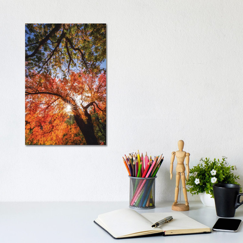 Reaching For Stars by Peter Coskun - Floater Frame Print on Canvas, 20.32 cm H x 30.48 cm W, Classic Brown Wood Framed Canvas