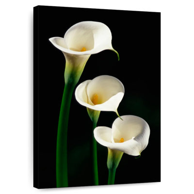 Harnek Three White Calla Lilies