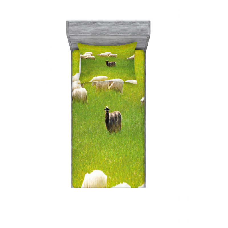 Ensemble de draps Sheep Entre Goatson, Ensemble de draps pour lit simple avec drap-housse