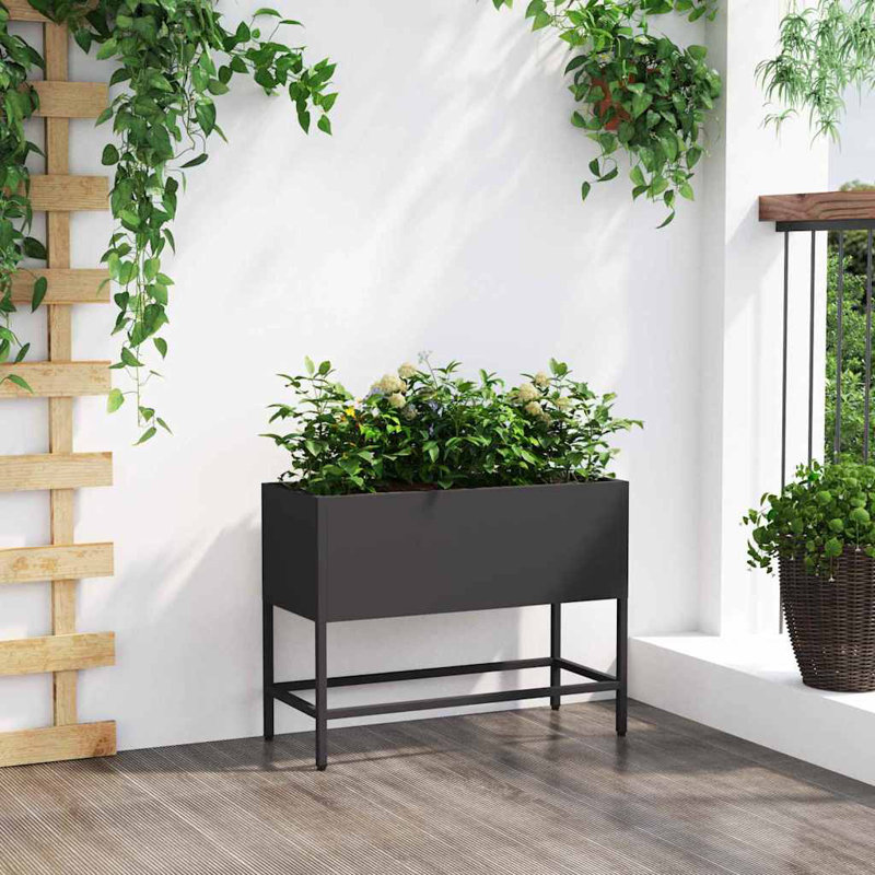 Raised Garden Bed