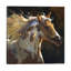 Spirit Horse 1 Piece Wrapped Canvas Wall Art-69742017-101336270