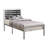 Tydarrius Metal Slat Bed