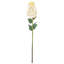 Hydrangea Arrangement-257838435
