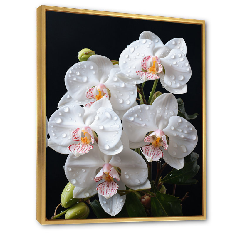 Orchidée noire et blanche, pointillisme délicat sur toile, H 20 po x l 12 po x P 1 po, Cadre flottant doré
