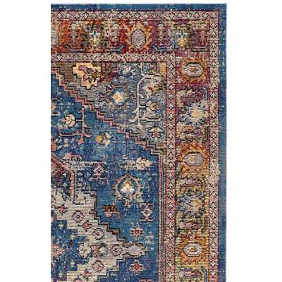 Raabe Performance Oriental Rug