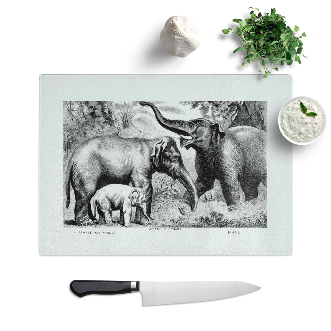 Tempered Glass Asian Elephants Chopping Board