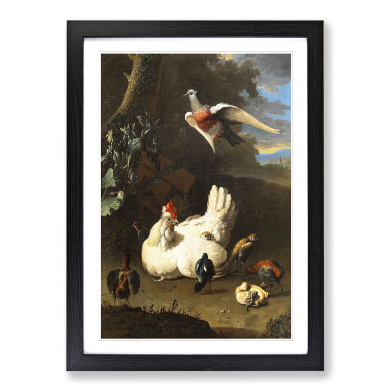 Poultry and Pigeon by Melchior D'Hondecoeter - Picture Frame Painting, Black Framed, 36cm H x 27cm W x 2cm D