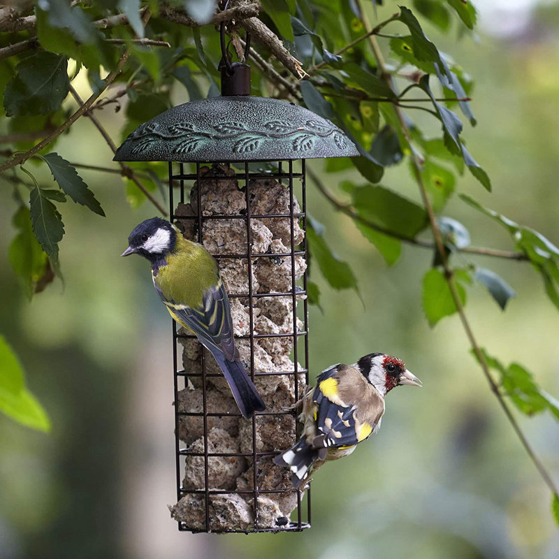 Anslie Metal Hanging Tube Bird Feeder
