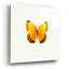 «Yellow Butterfly 2» par Photoinc Studio, art mural en verre acrylique-1814454296