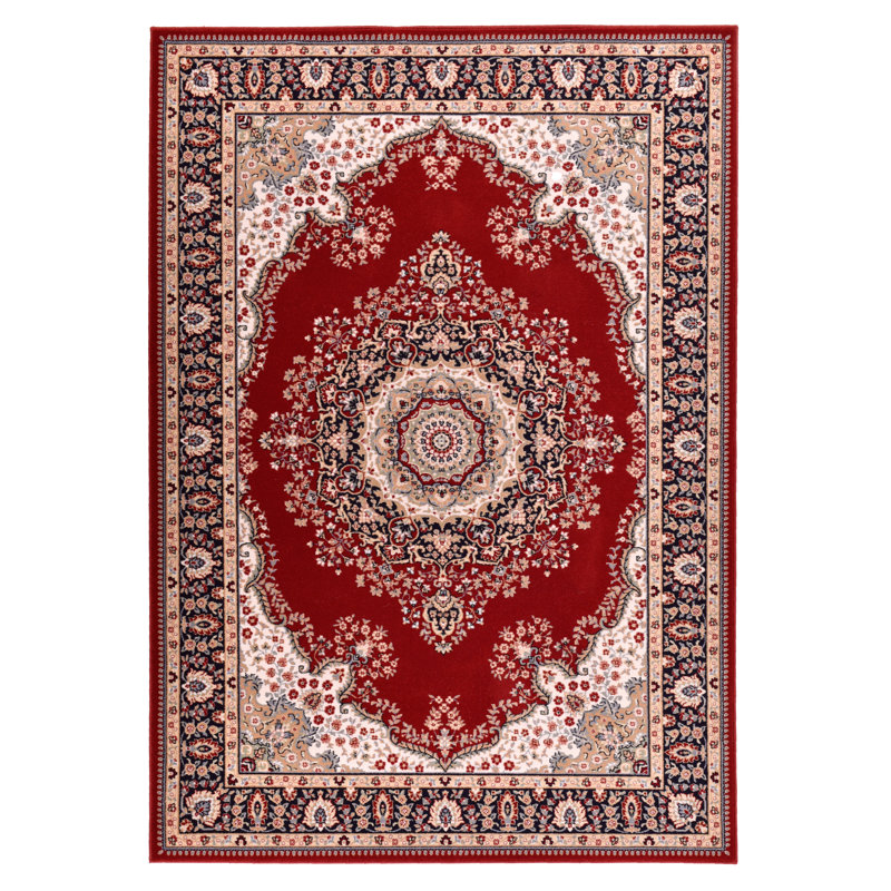 Runner Oriental Area Rug, Rectangular 66cm x 120cm