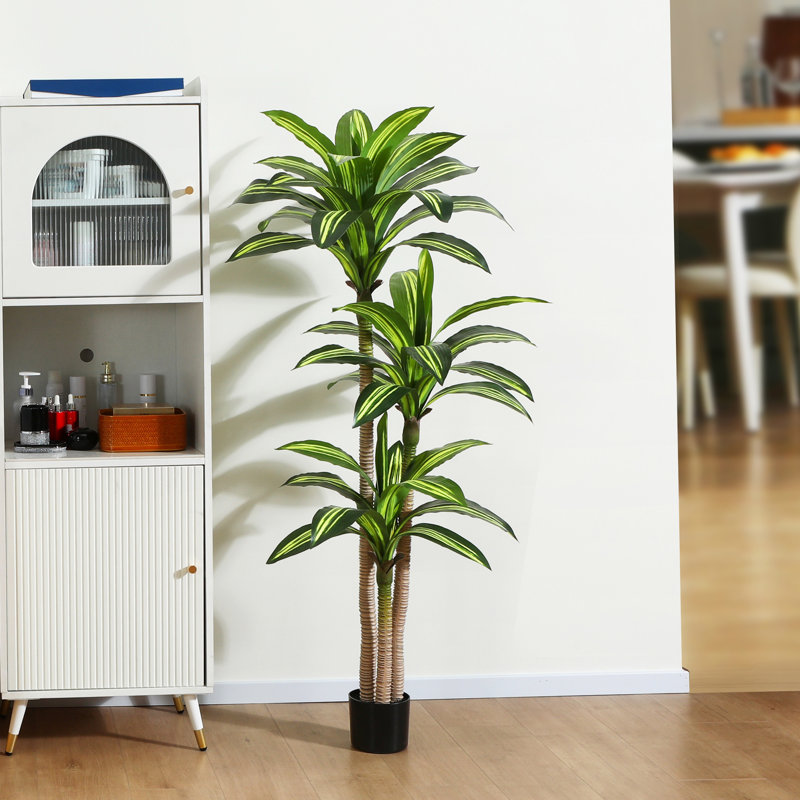 Adcock Artificial Dracaena Tree in Pot, 59" H x 40" W x 40" D