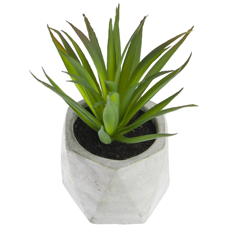 Plante grasse artificielle en pot 6 po