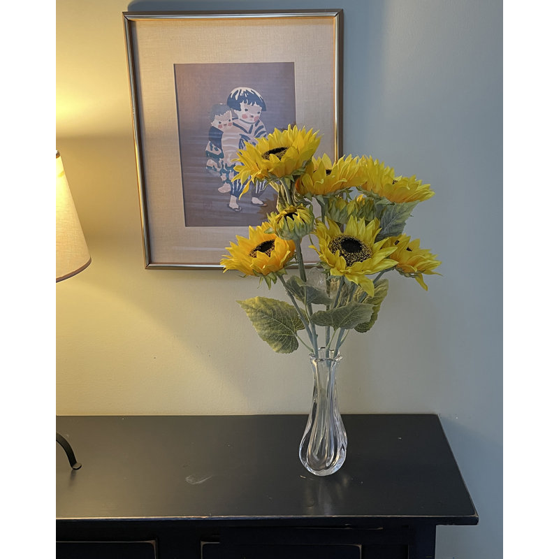 24 po tournesol