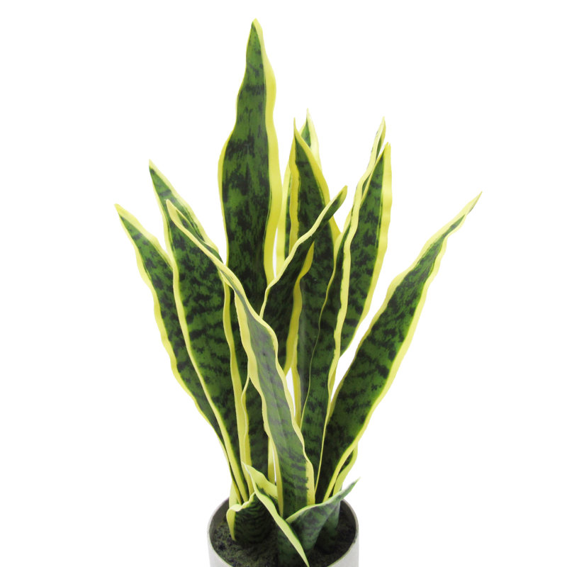 Artificial Sansevieria Snake Plant in Pot, 18'' H x 9'' W x 6'' D
