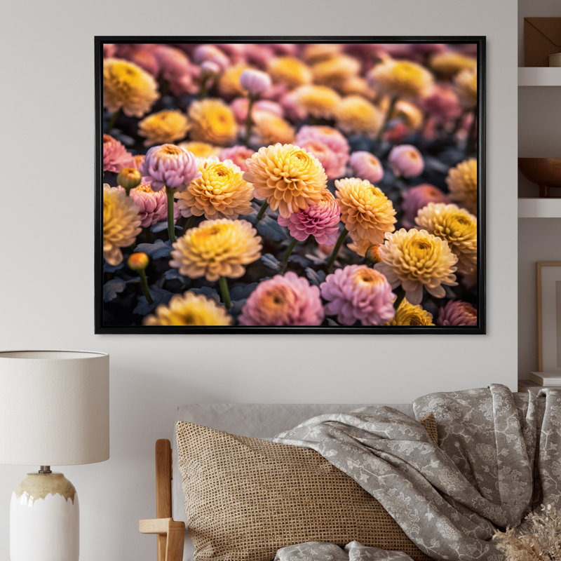 «Yellow Yellow Pink Chrysanthemums Field» sur impression sur toile, H 12 po x l 20 po x P 1 po, Cadre flottant noir