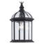 Lanterne suspendue d'extérieur à 1 ampoule H 13,5 po Roscoe-1381454153