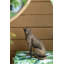 Statue de panthère en cuivre 5,1 x 3,5 x 6,1 po, décor animal