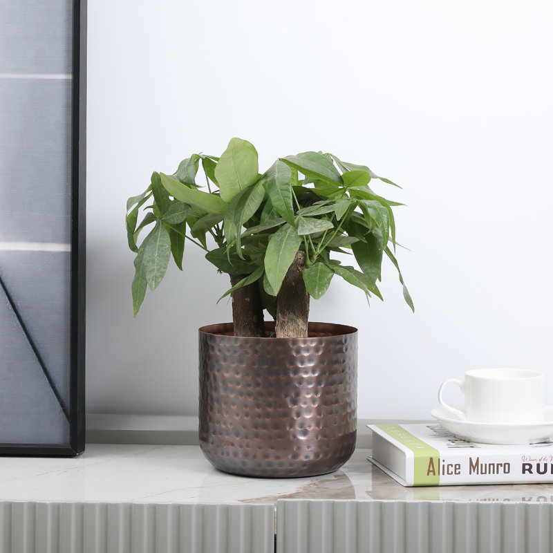 Handmade Metal Pot Planter