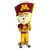 NCAA 3.75" Minnesota Mascot Ornament est en rupture de stock