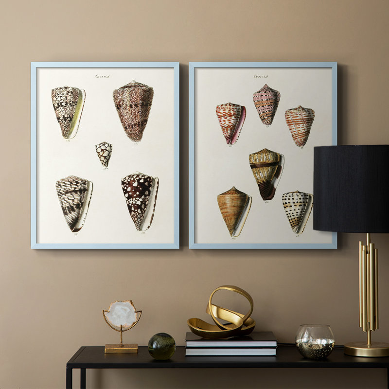 Cone Shell Collection III - reproduction encadrée de qualité supérieure - prête à être accrochée - aucun clou requis - aucun clou requis