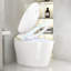 Toilettes une pièce intelligentes avec bidet, conception en céramique, idéales pour les maisons modernes