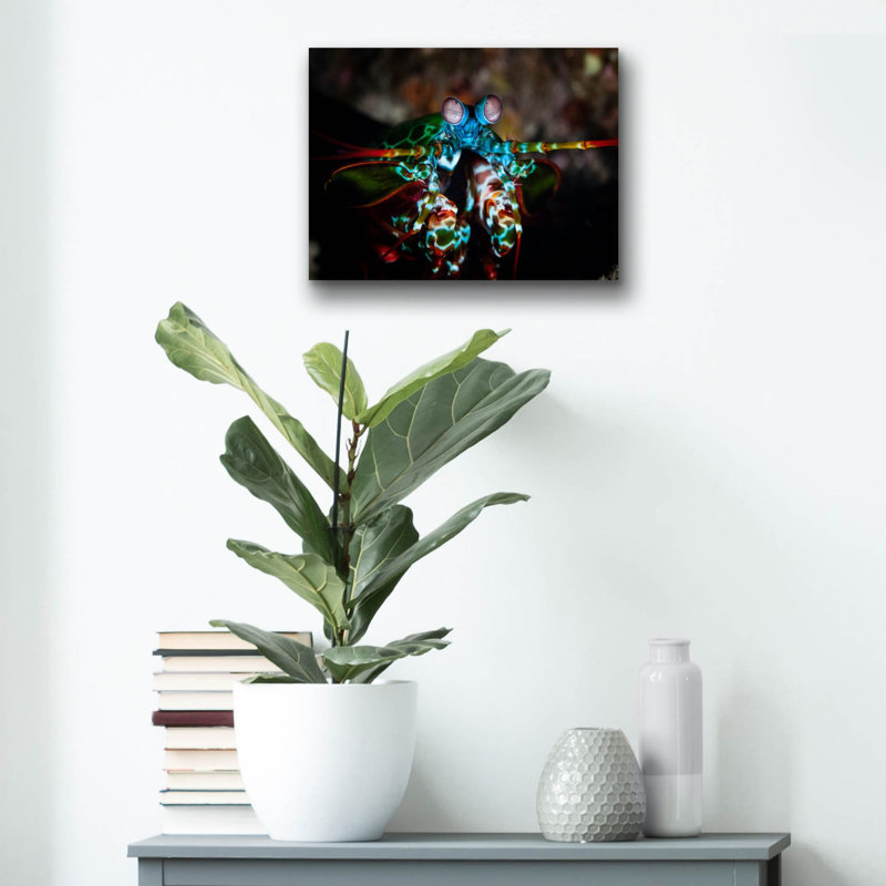«Peacock Mantis Shrimp» par Epic Portfolio, art mural en verre acrylique, H 12 po x l 16 po x P 0,13 po