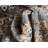 Zayandeh Oriental Indoor Rug-61945819