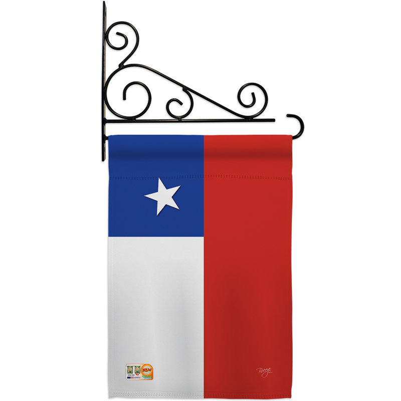 Double Sided 18.5'' H x 13'' W Polyester Flag Set