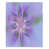 Blue/Purple/Green