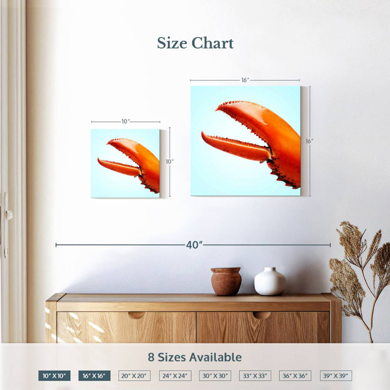 Brampt Red Lobster Claw, 16" H x 16" W