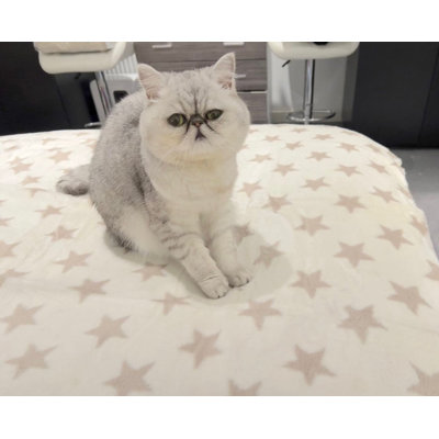 Star Print Dog Blanket