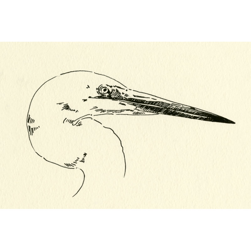 Heron Head I by Emma Caroline - Print on Canvas, 61cm H x 91cm W, Wrapped Canvas