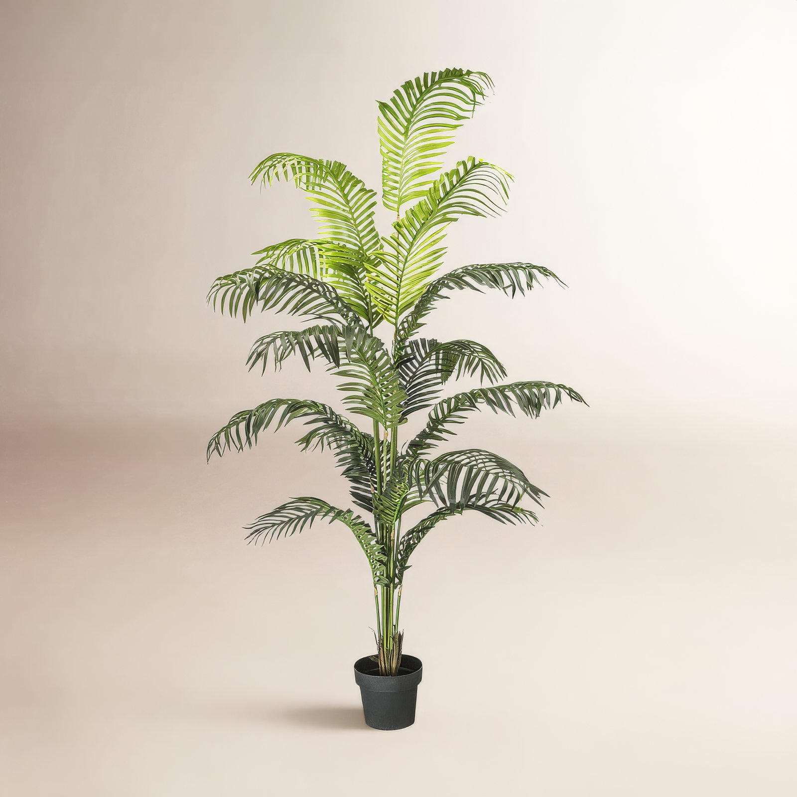 72" Palm Tree in Pot, 72" H x 32" W x 32" D