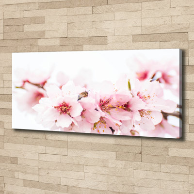 Cherry Blossoms - No Frame Print on Canvas