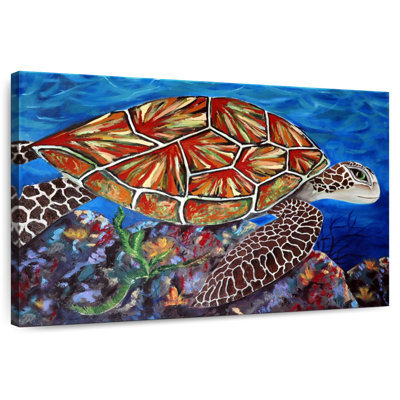 Tortue de mer Brampt Splashy