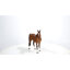Cheval debout