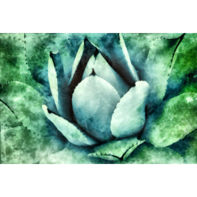 Pastel Succulents - Wrapped Canvas Painting