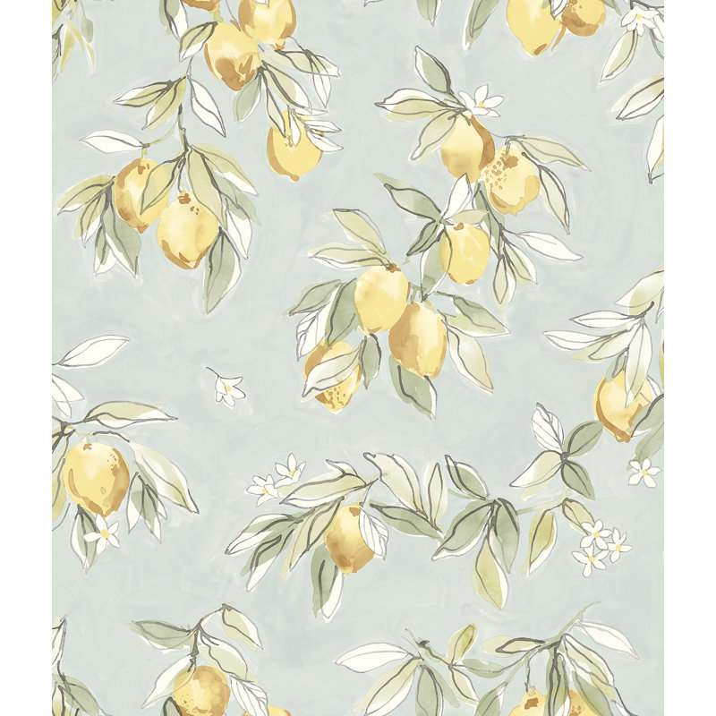 Papier peint d'agrumes Kamila Farmhouse 20,5 po de largeur 33 pi., Turquoise