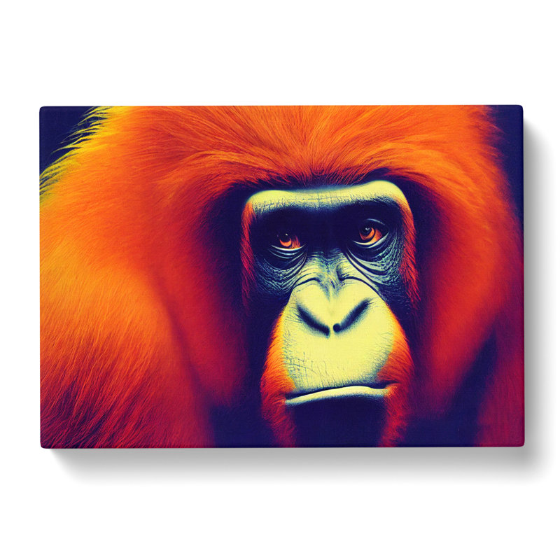The Bewitching Orangutan - Wrapped Canvas, 35cm H x 50cm W x 3cm D