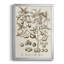 «Sepia Botanical Journal II», reproduction encadrée de qualité supérieure - prête à être accrochée-88288503-88288502