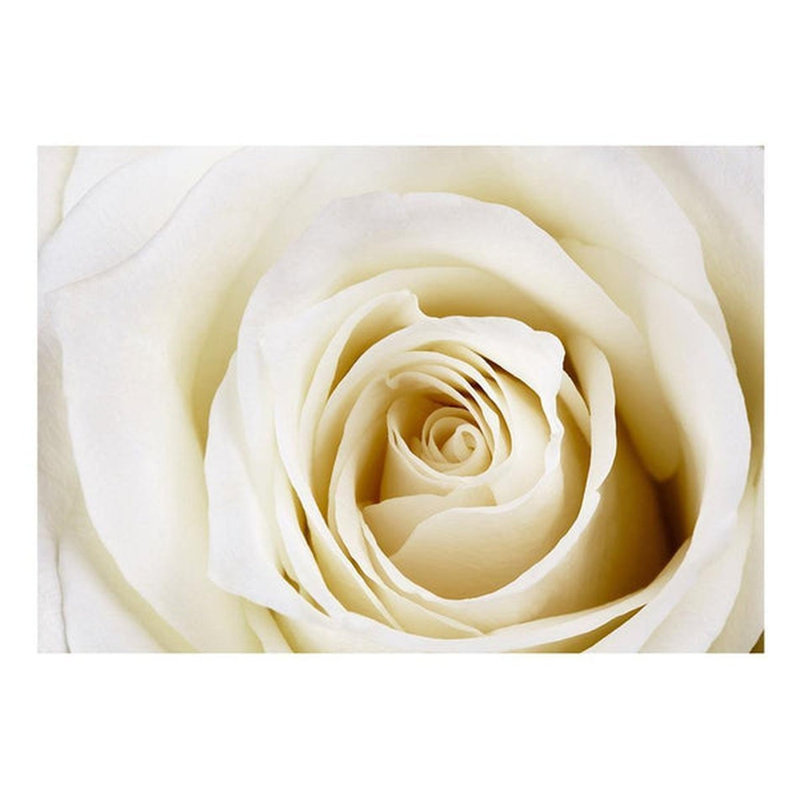 Kadeisha Floral Wall Mural, 96" L x 137" W, White/Yellow