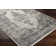 Oriental Indoor Rug