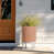 Terracotta/White