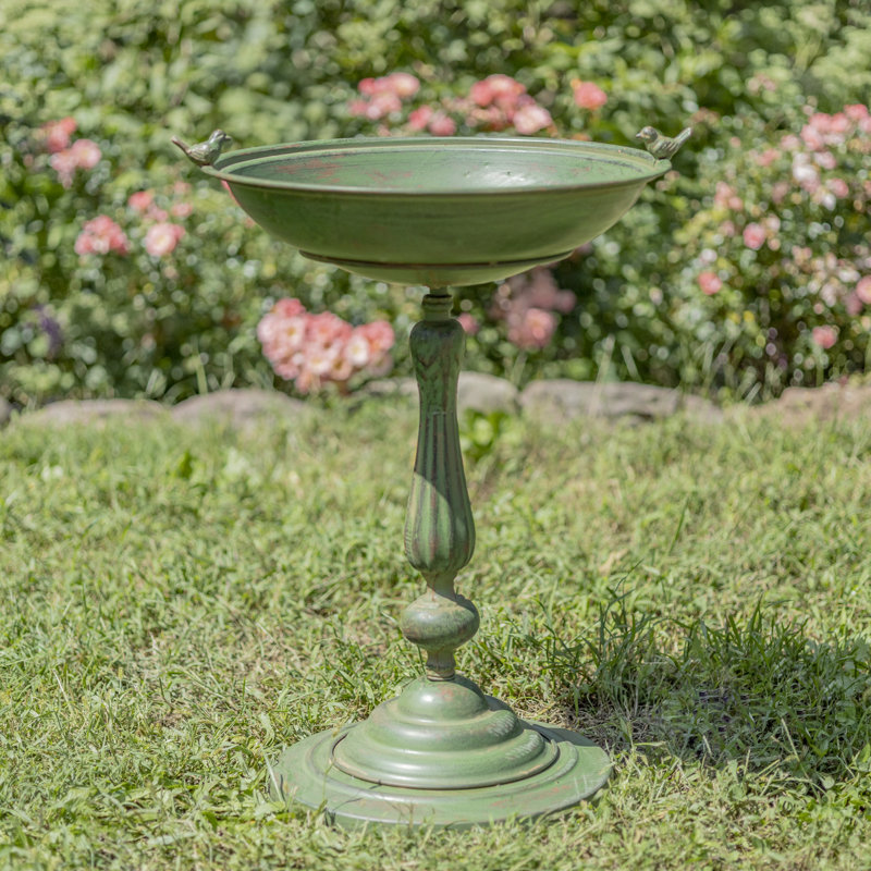 Bain d'oiseaux à piédestal Bobra, Vert