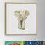 'Baby Elephant II' Framed Print-21183715