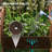 Raised Garden Bed